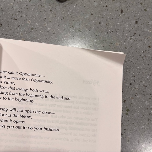 The Tao Of Meow Vintage 1990  Softcover Book By Waldo Japussy - Picture 14 of 16